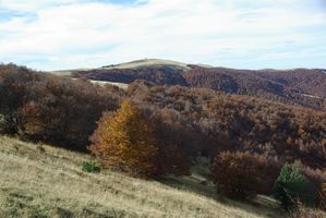 Col du Sapet