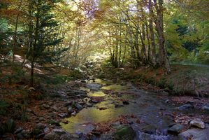 Mont Aigoual
