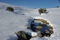 Sources du Tarn