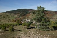 Cabrillac